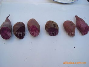 紫甘薯高效栽培技术转让 市场价值与专业平台推荐